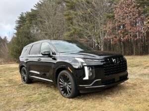 2025 Hyundai Palisade Calligraphy
